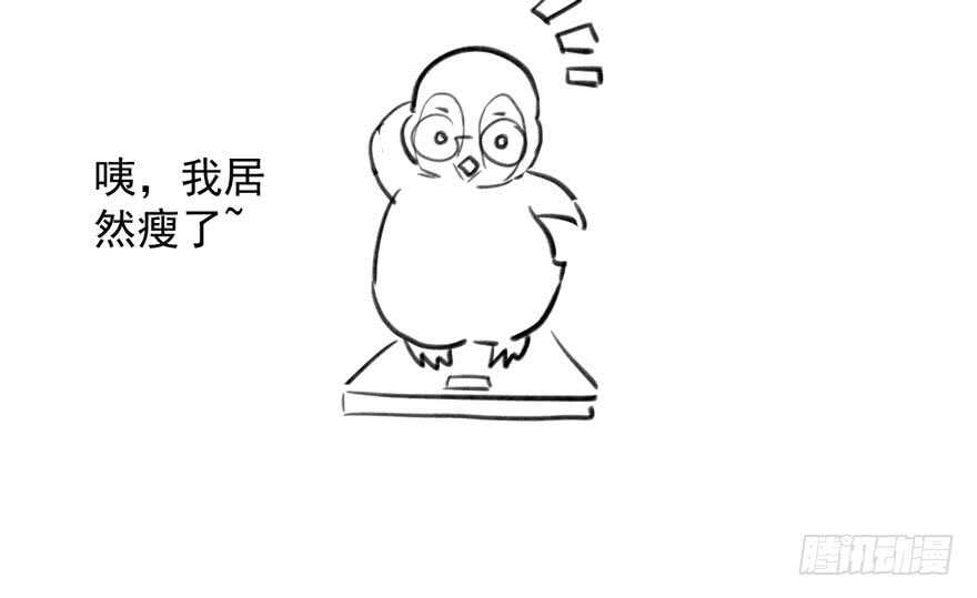 求婚成功狗粮管够88