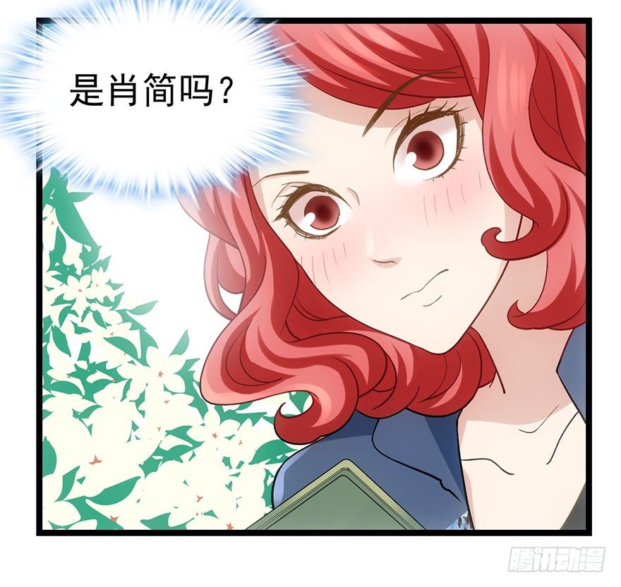 霸道铲屎官与护妹狂魔87