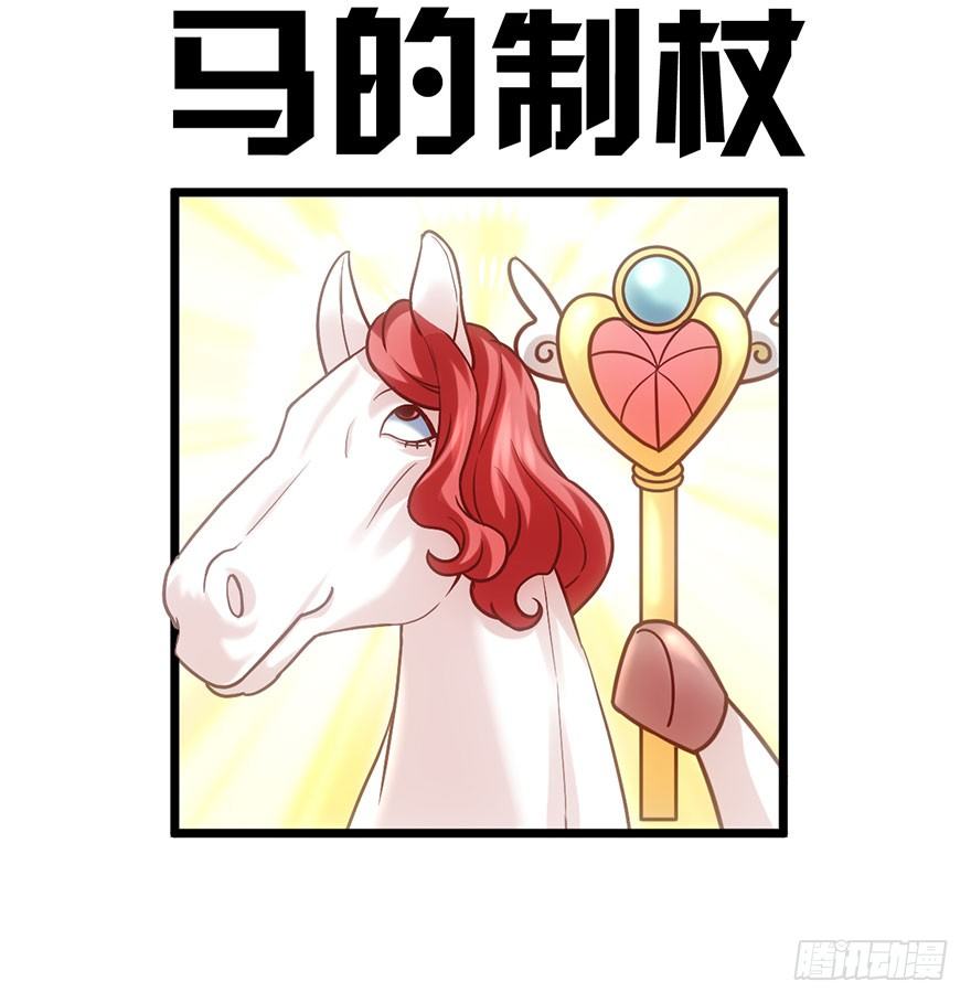 马的制杖87