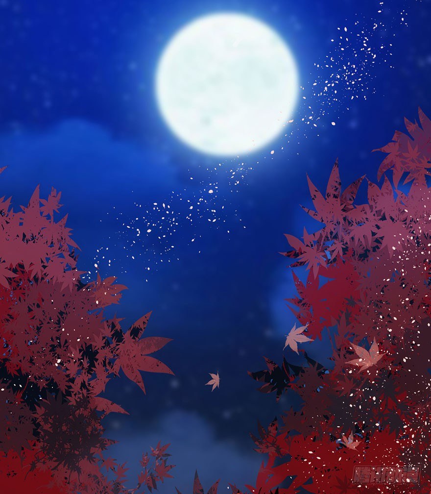 千里撸猫2