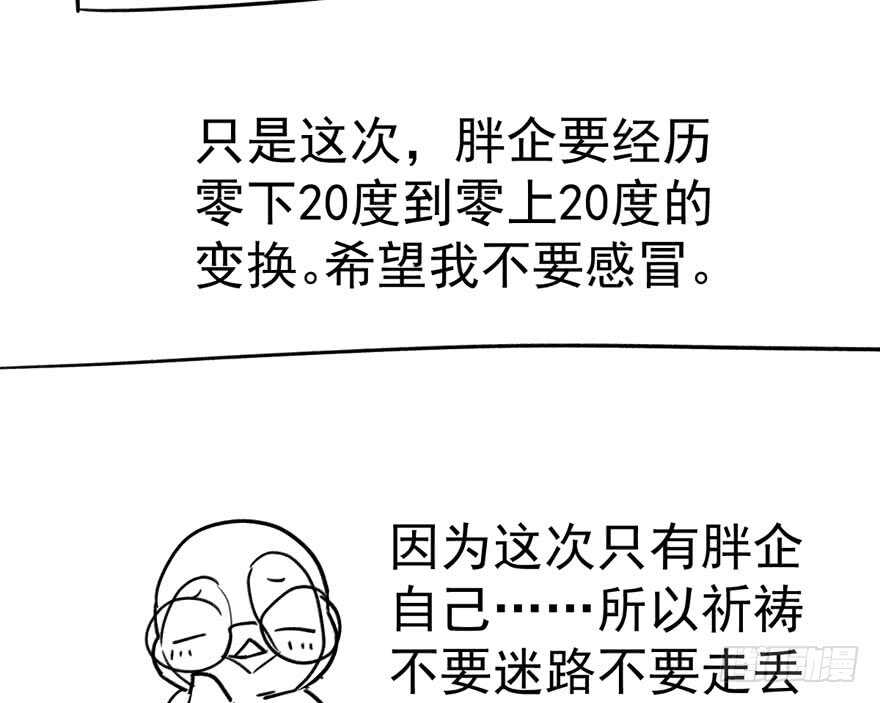 来和肖简抢人啊！111