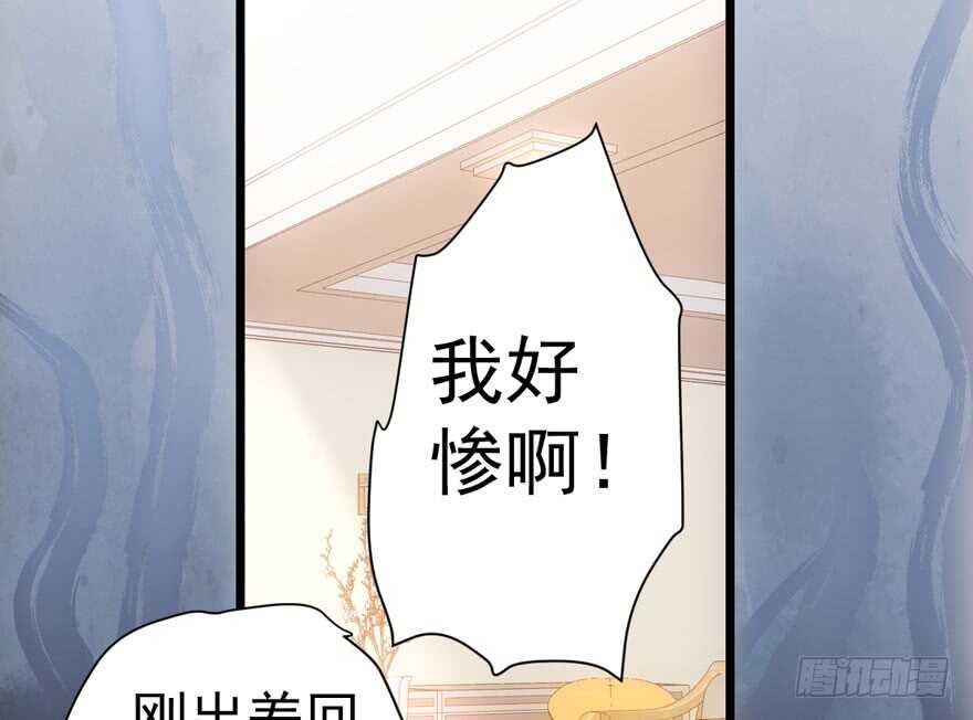 扮猪吃老虎11