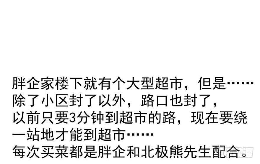 小肖简80