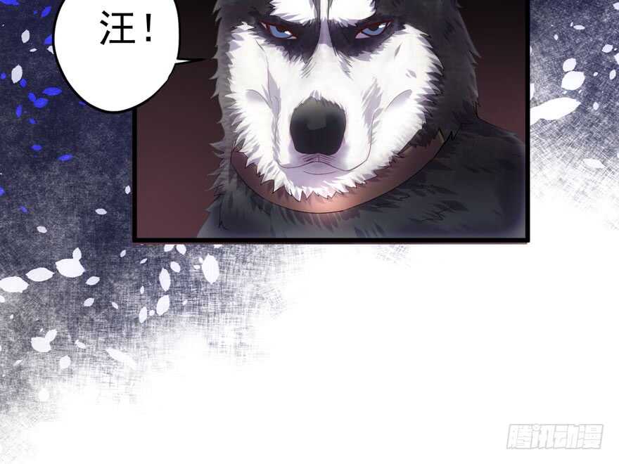 拜见未来岳丈大人62