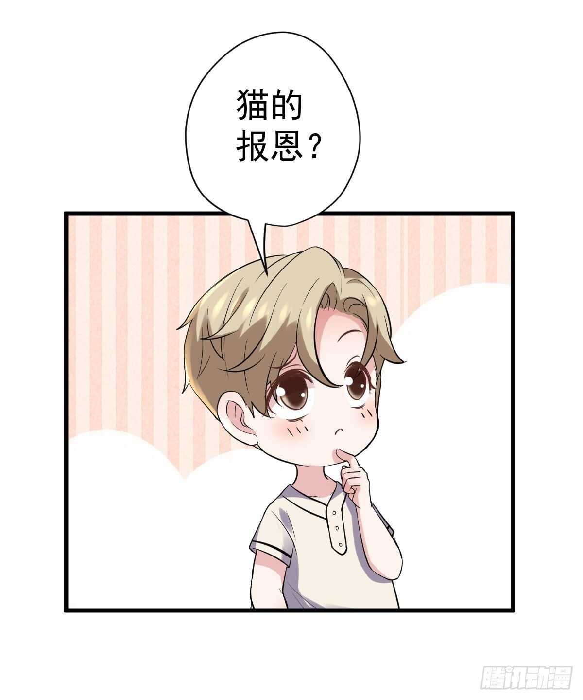 苏晓，我挺你！29