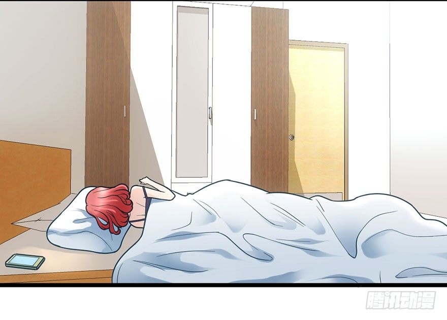 铲屎官的自我修养4