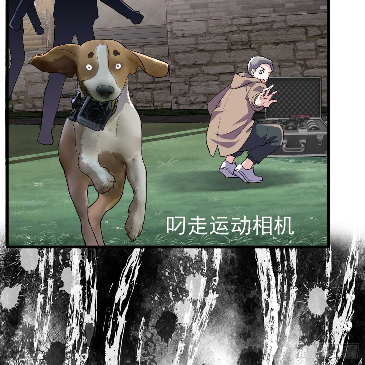 审视夺度15