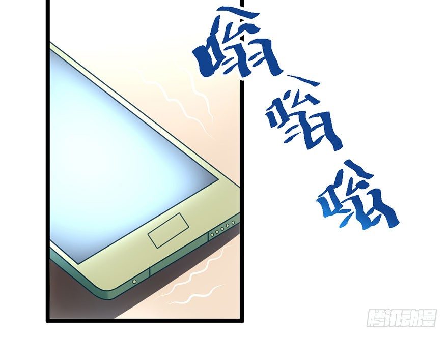 铲屎官的自我修养6