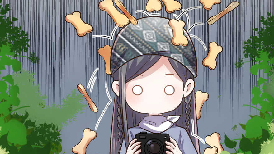 求婚成功狗粮管够42