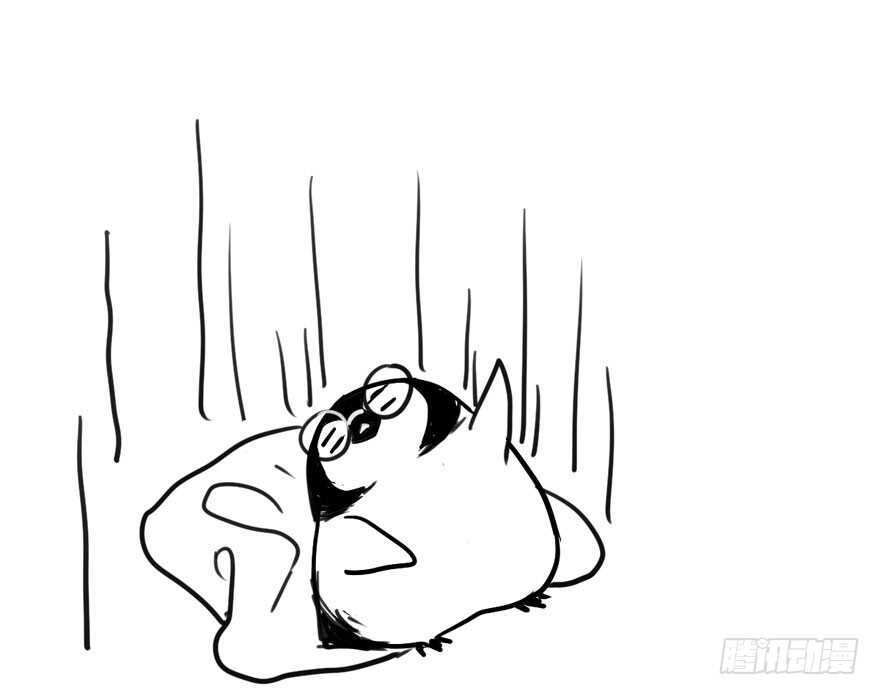 红毯风云79