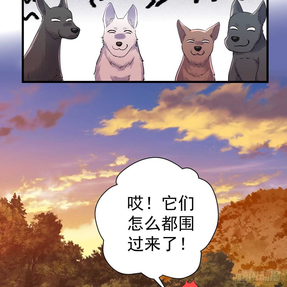 审视夺度23