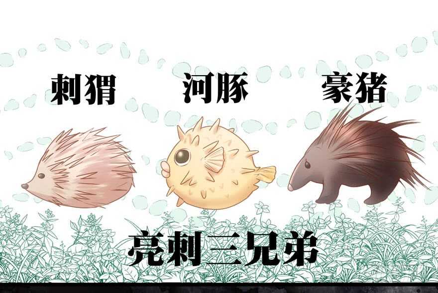 大橘已定39