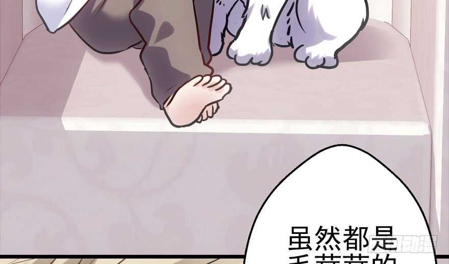 呆若木鸡16