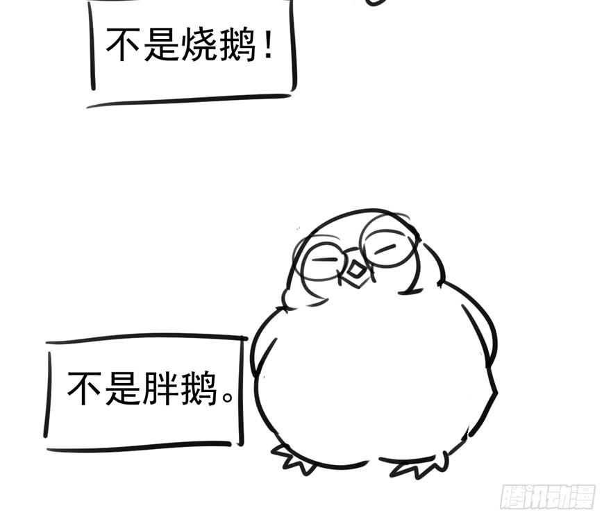 我们参加年度作品评选啦！5