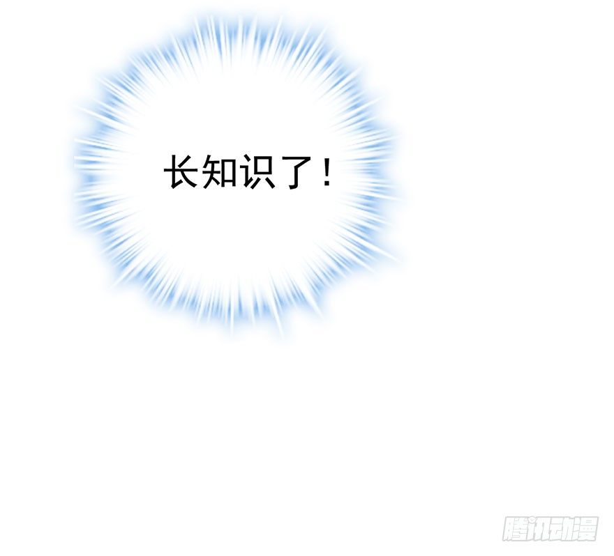 猫的报恩16