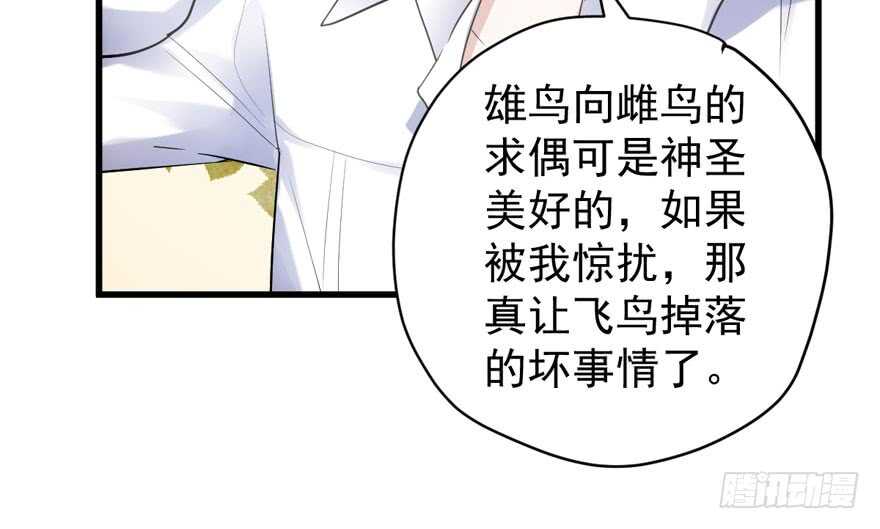 人形迫击炮44