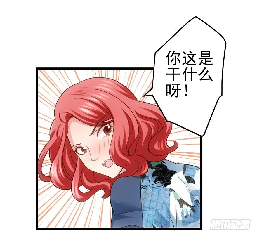 霸道铲屎官与护妹狂魔49