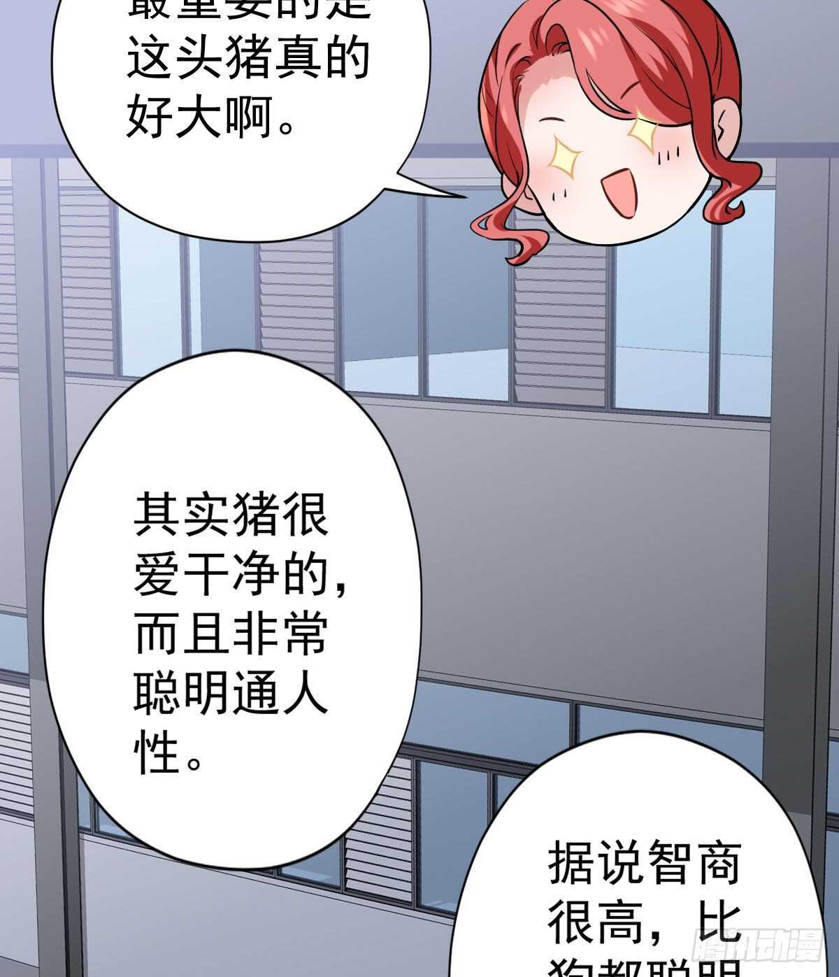 苏晓的新坐骑37