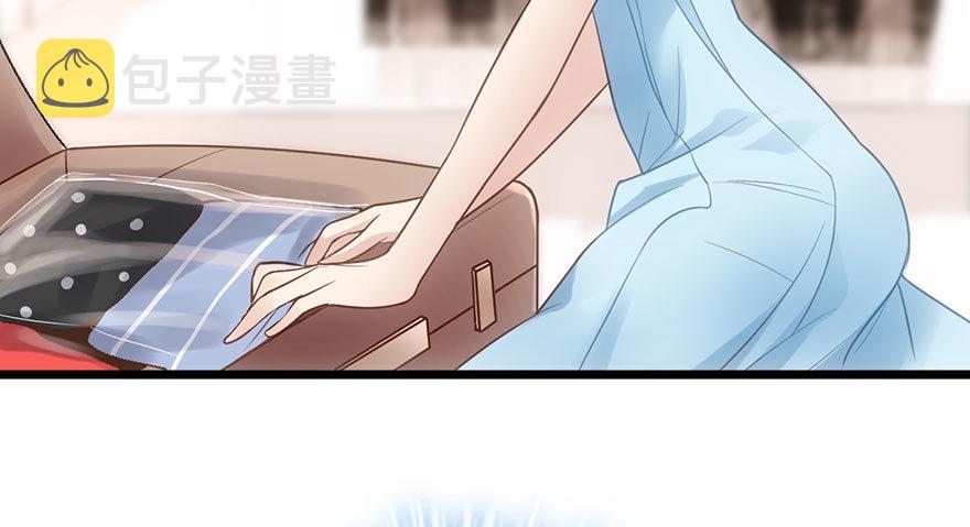 猫的报恩79