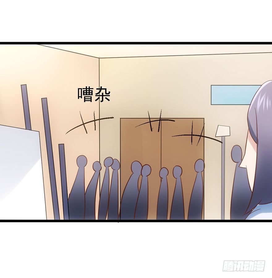 猫的报恩46
