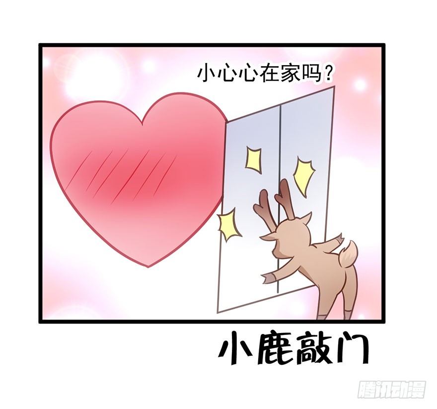 猫的报恩54