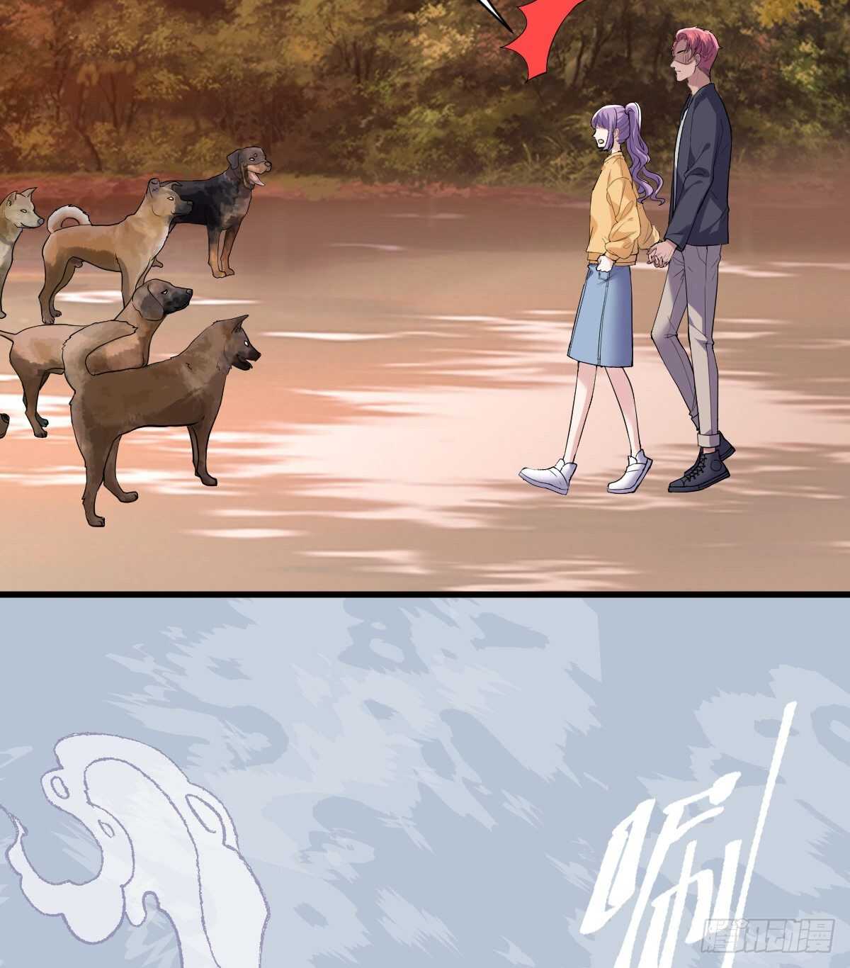 审视夺度24