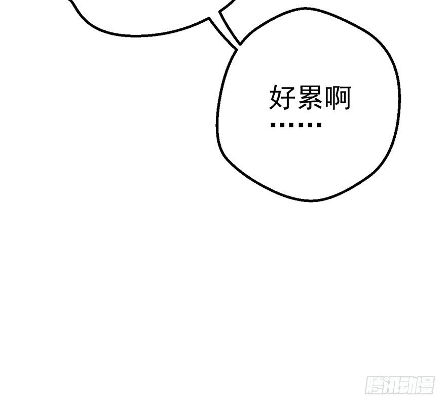 铲屎官的自我修养91