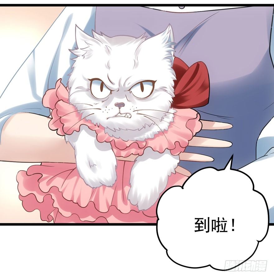 肖简与猫24