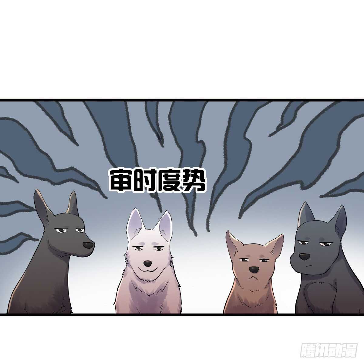 审视夺度19