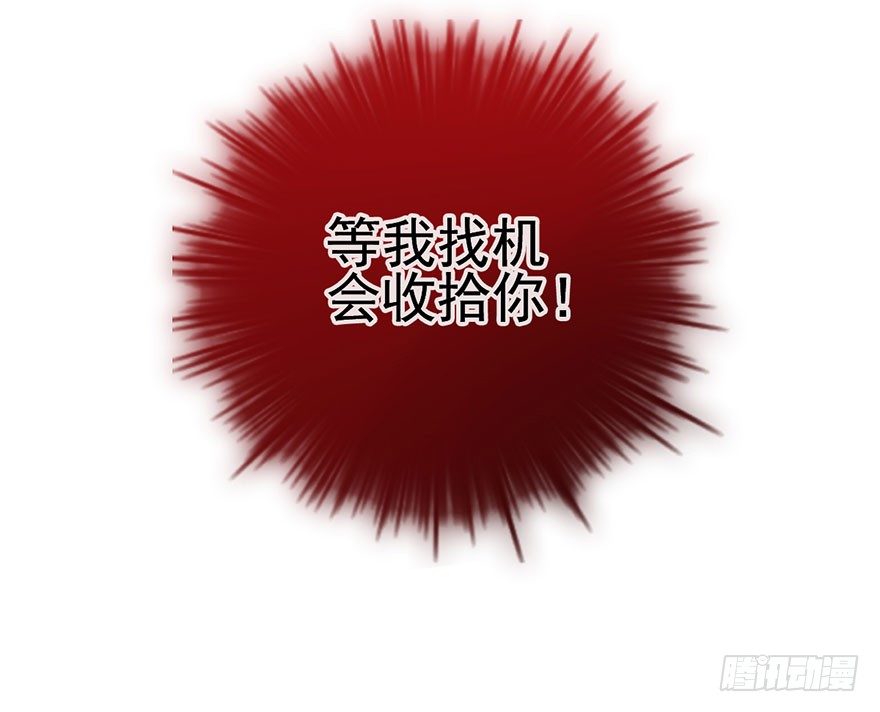 千里撸猫20