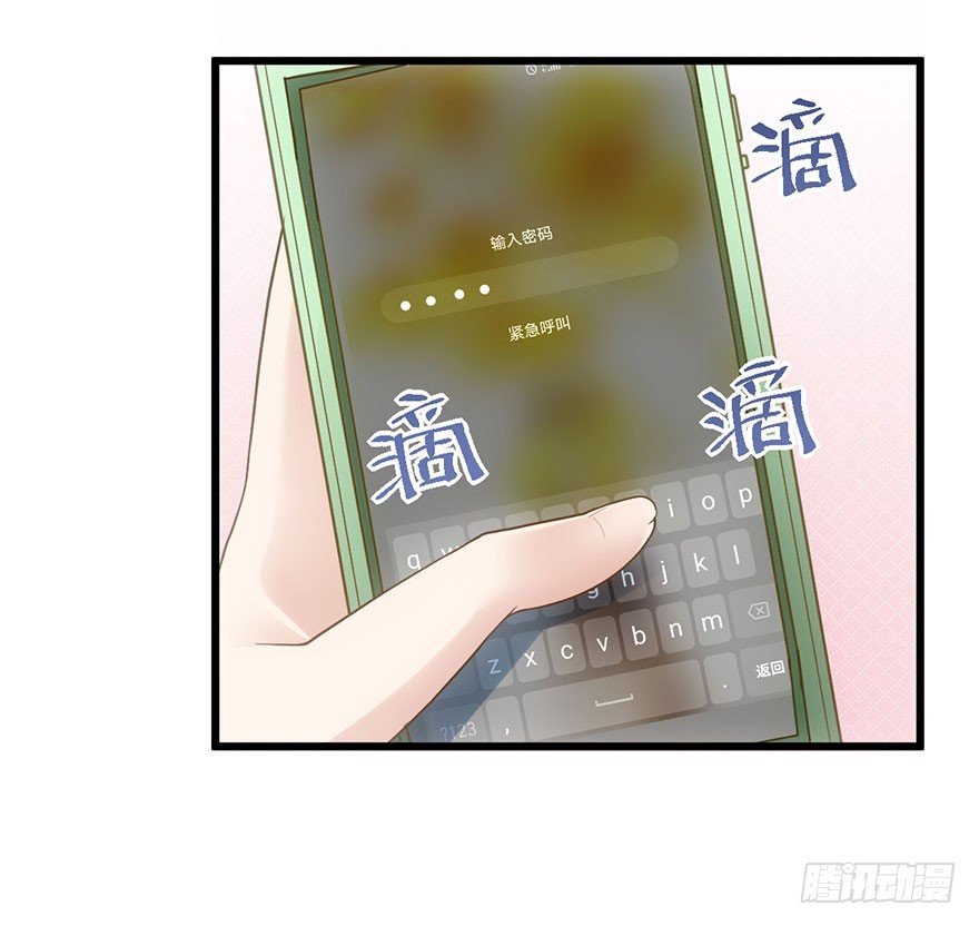 杜绝偷猫贼13