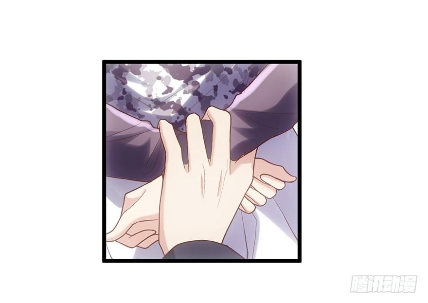 千里撸猫38