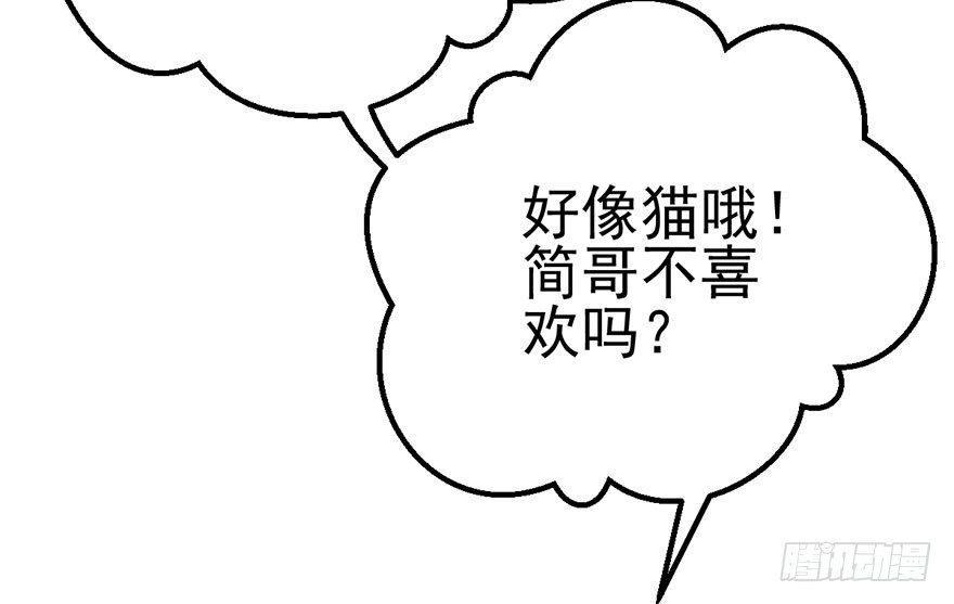 铲屎官的自我修养67