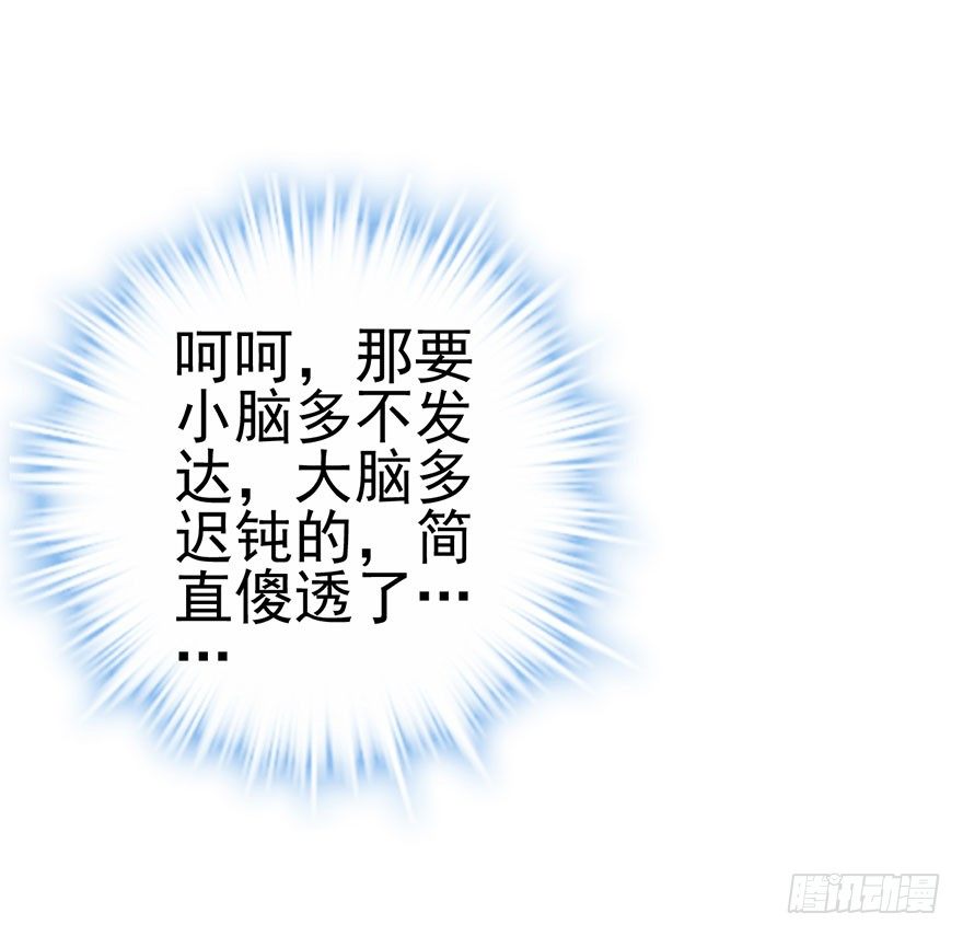 马的制杖85