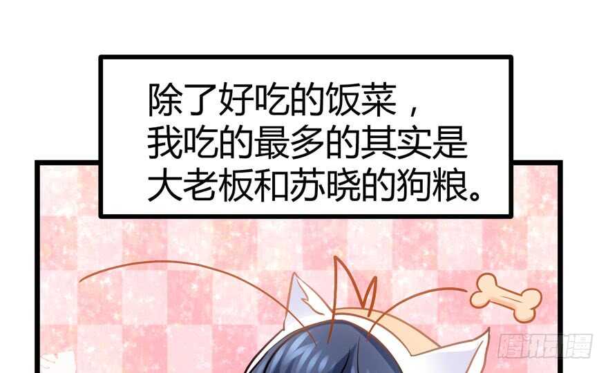 番外，苏晓的助理（完）10