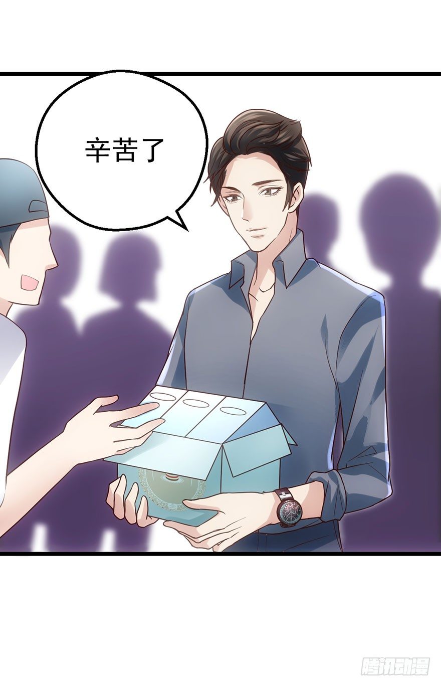 猫的报恩55