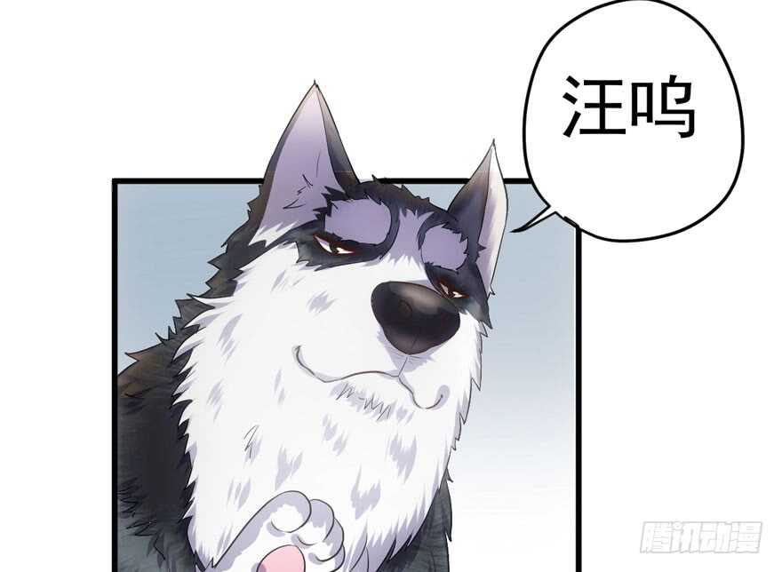 “男神”哈哈。12