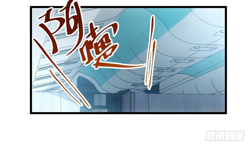 杜绝偷猫贼58