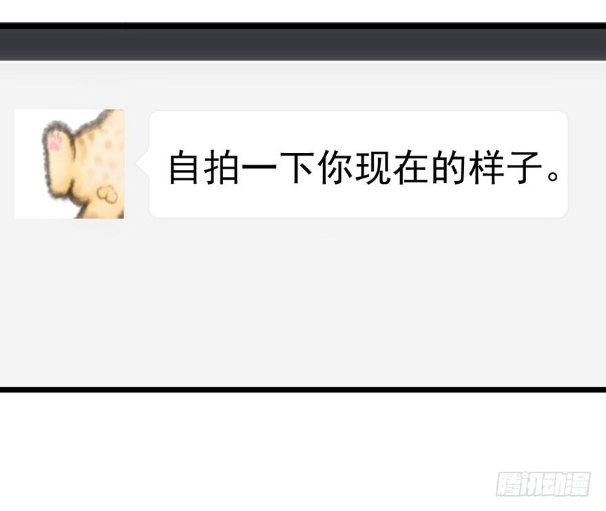 铲屎官的自我修养36