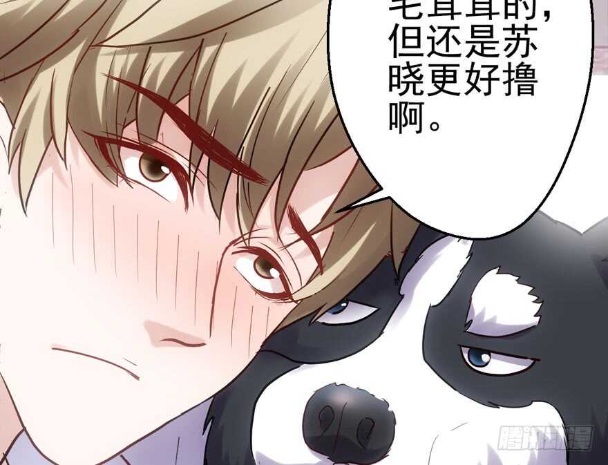 呆若木鸡17