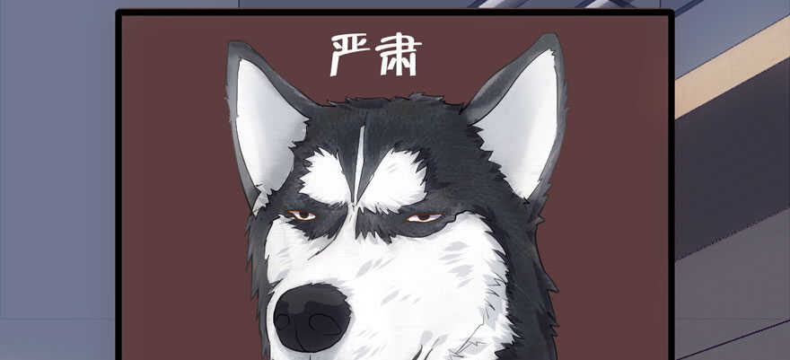 下山喽！找场子喽！哈哈哈喽！88