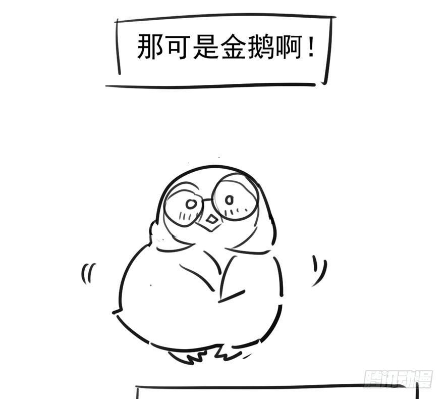 我们参加年度作品评选啦！7
