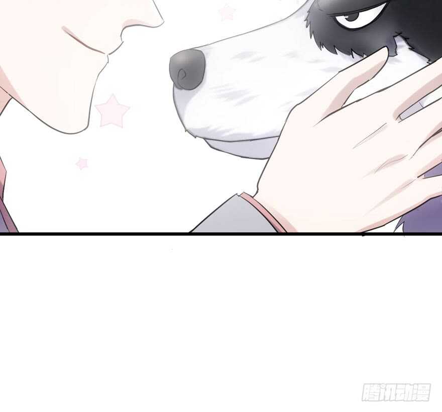 你越界了43