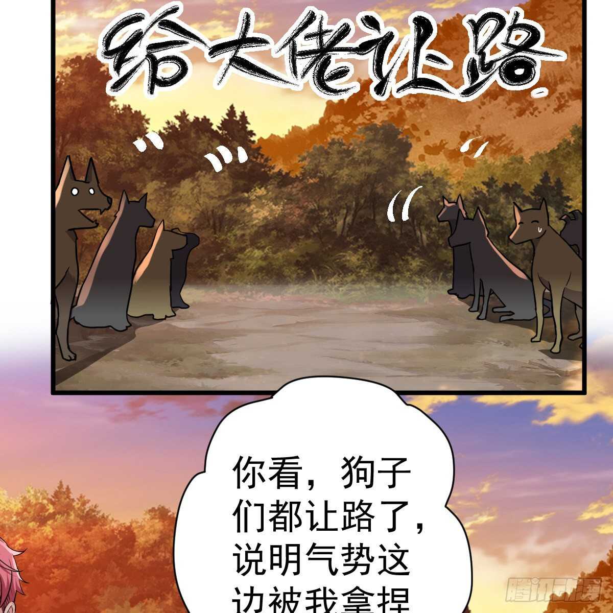 审视夺度29