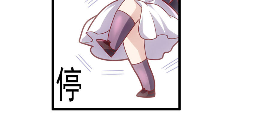千里撸猫48