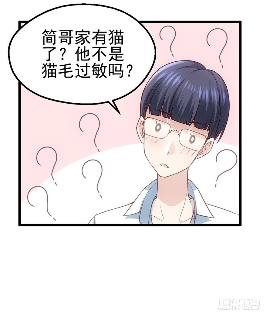 铲屎官的自我修养83