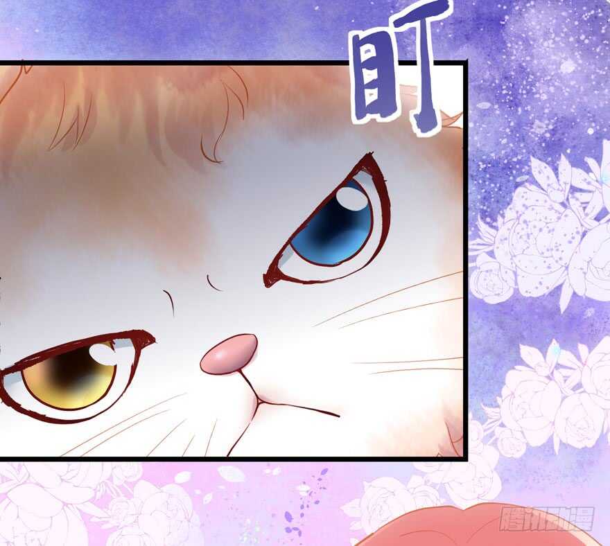 传说中的肖宝贝87