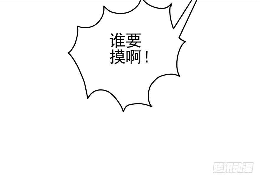 莲花与莲藕28