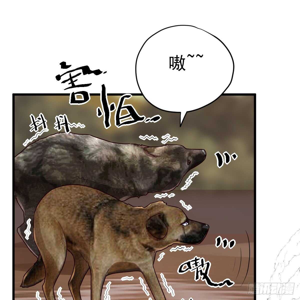 审视夺度35
