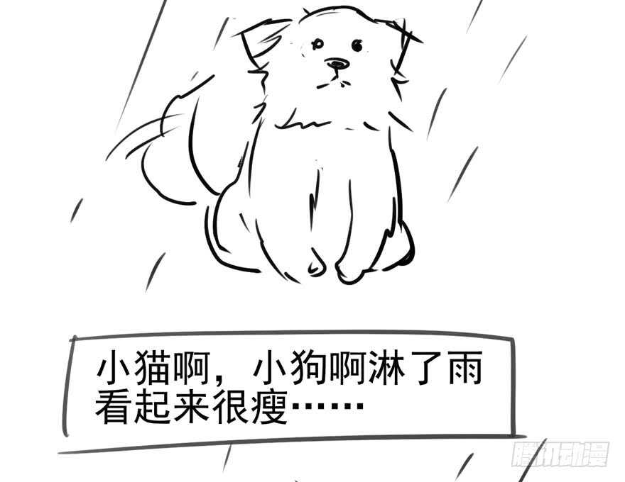 缘，妙不可言~104